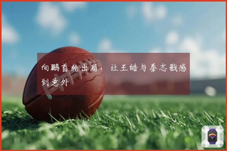 向鹏首轮出局，让王皓与秦志戬感到意外